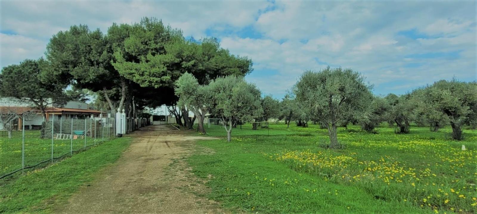 Villa Laura Бари Экстерьер фото